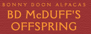 McDuff's Offspring