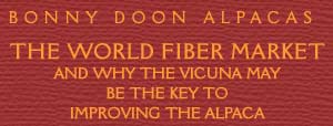 The World Fiber Market and why the vicuna may be the key to improving the alpaca